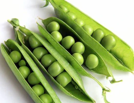 Organic Pea Protein