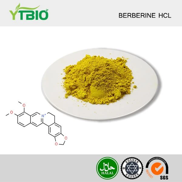 Berberine Hcl-poeder