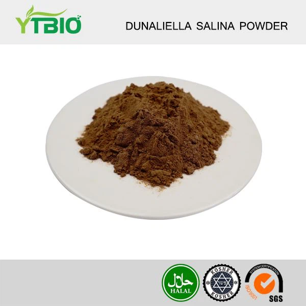 Dunaliella Salina-extract bèta-caroteen