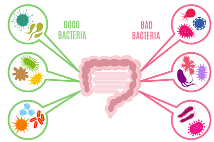 Pure Bovine Colostrum Powder Pure Bovine Colostrum Powder