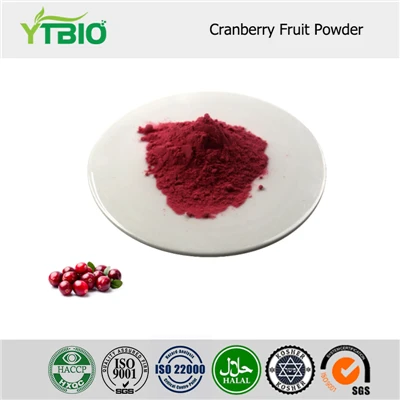 Cranberryfruitpoeder