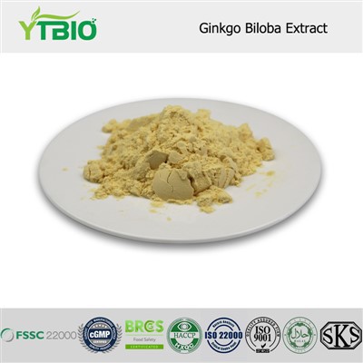 Ginkgo biloba extract poeder