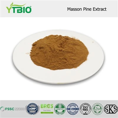 Masson Pine Extract